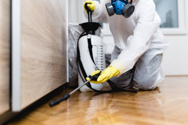 Best Wildlife Control Services  in Des Moines, WA