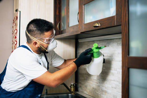 Best Bed Bug Extermination  in Des Moines, WA