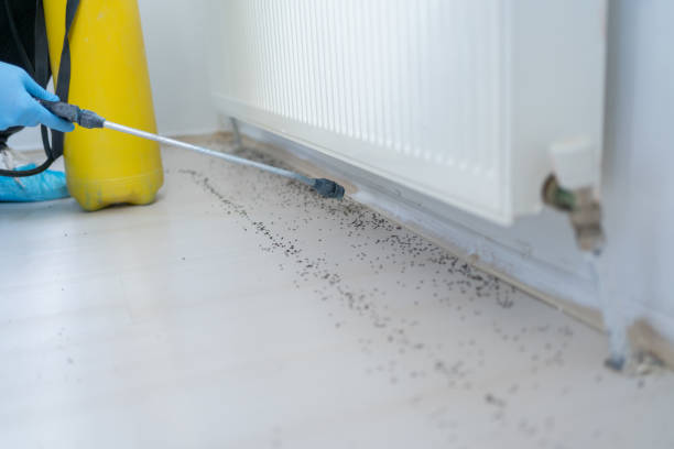 Best Mosquito Control Services  in Des Moines, WA